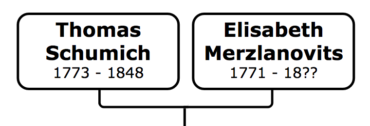 Thomas Schumich and Elisabeth Merzlanovits